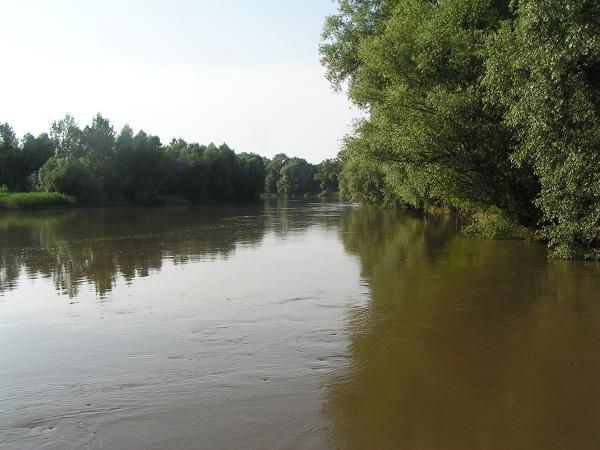 PICT0994 (web)